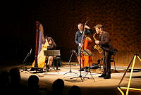 240119_Kathrin_Pechlof_Trio_c_Maximilian_Probst(15).jpg