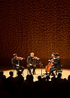 25019_Goldmund_Quartett_Elbphilharmonie_c_Carolin Windel (16).jpg