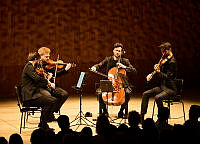 25019_Goldmund_Quartett_Elbphilharmonie_c_Carolin Windel (2).jpg