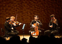 25019_Goldmund_Quartett_Elbphilharmonie_c_Carolin Windel (5).jpg